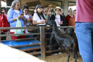 Foto: Divulgação/SMDF